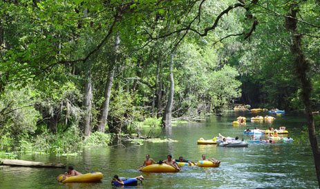 Ichetucknee River Float Pic