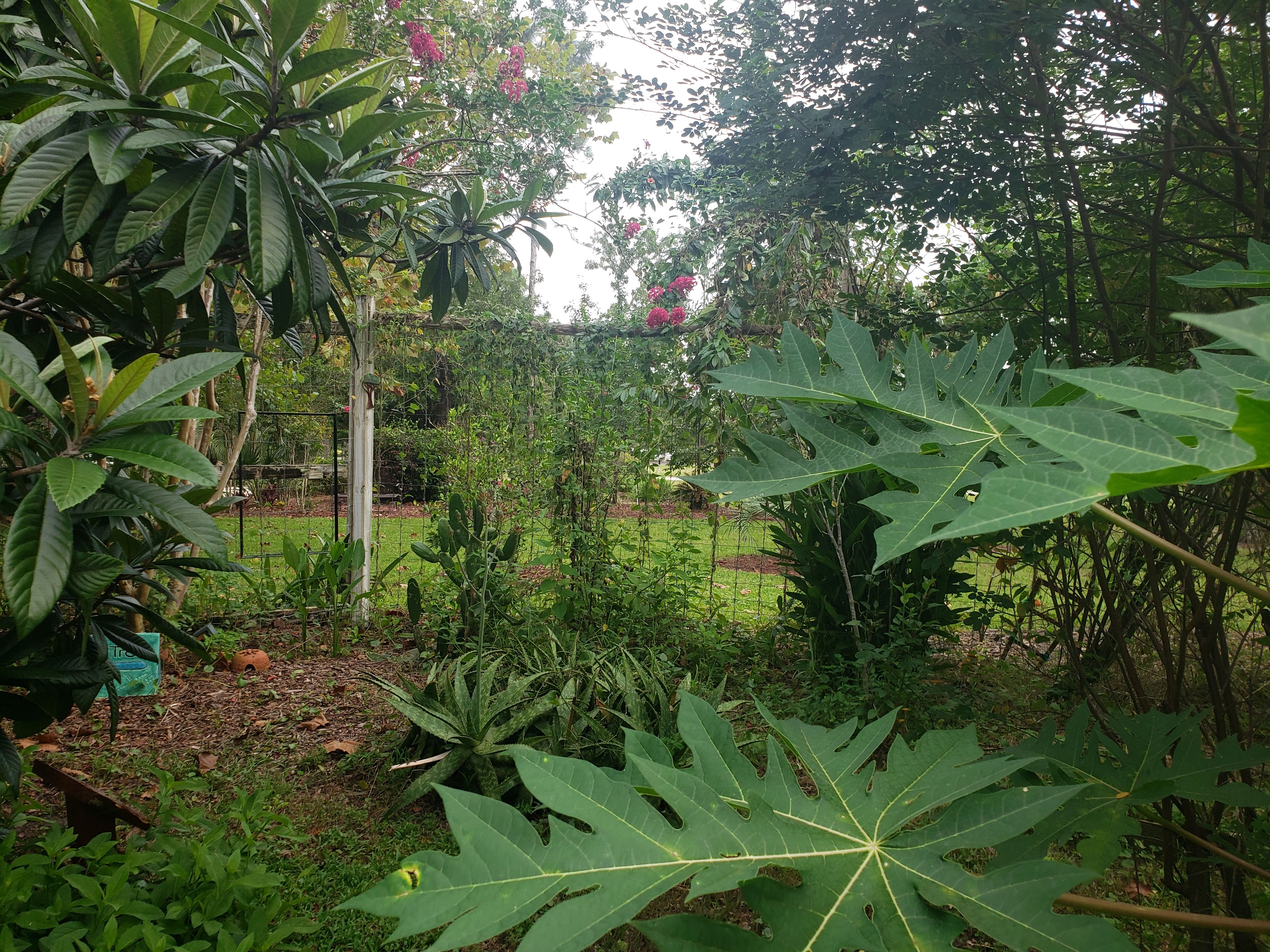 UCCL Permaculture Garden